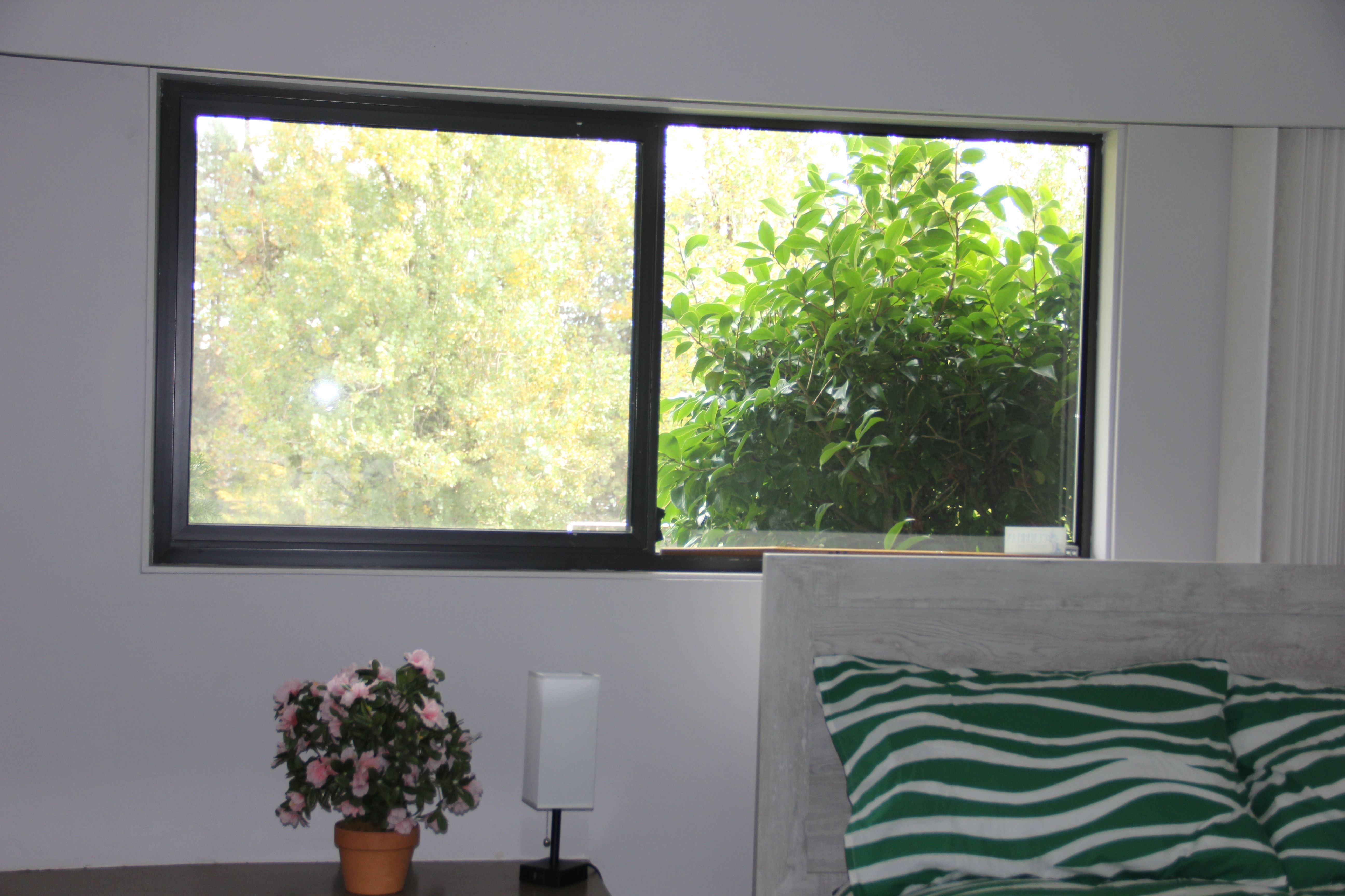 اجاره اتاق خصوصی بزرگ شماره ۲ در بورکویتلام، کوکیتلام با تمام امکانات